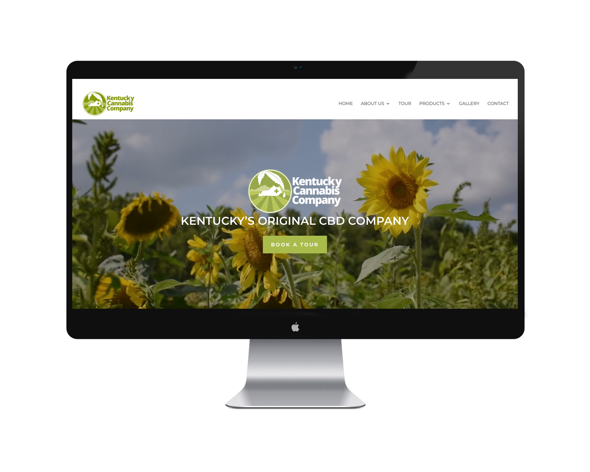 Web Design in Midway, KY