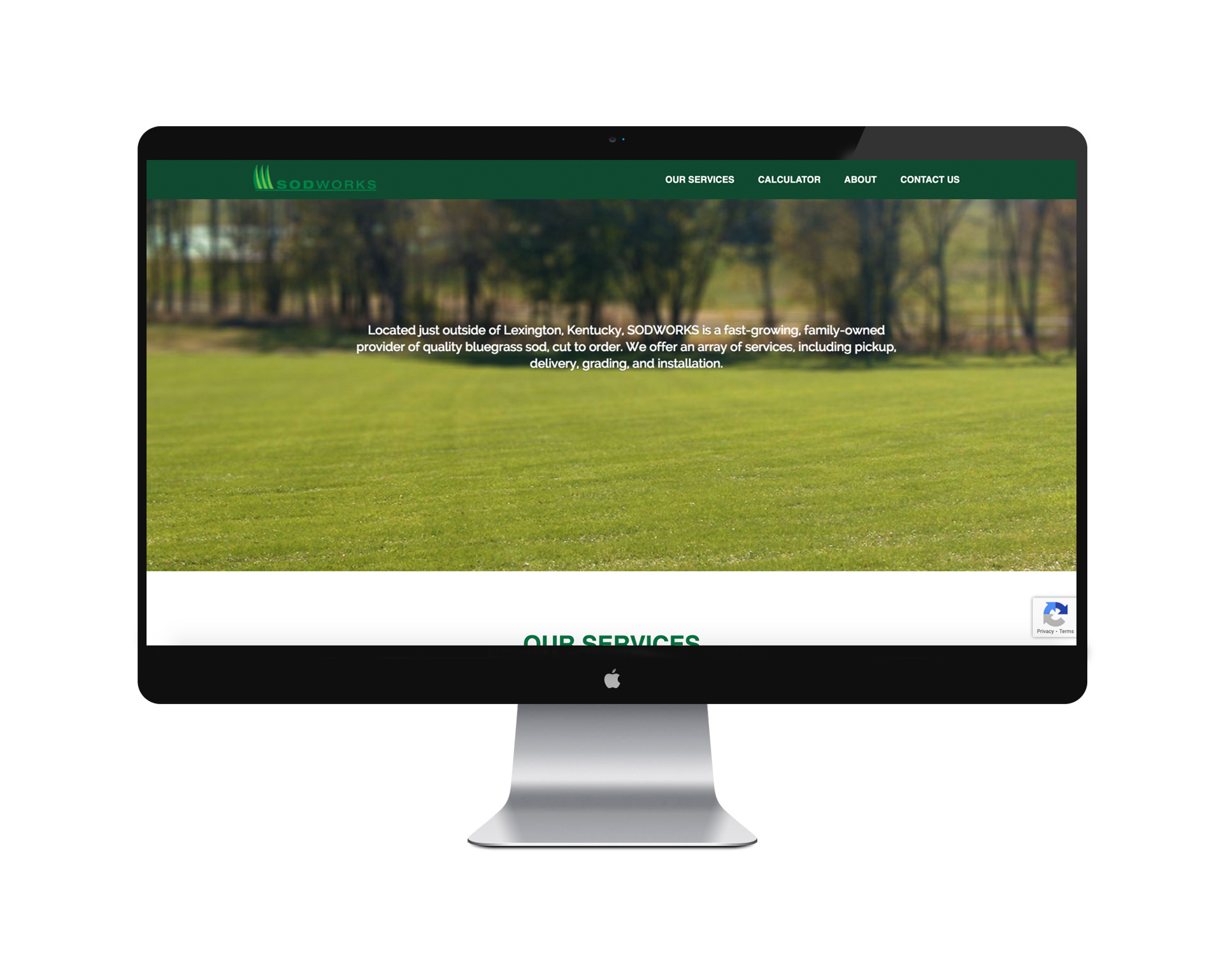 Web Design in Paris, KY